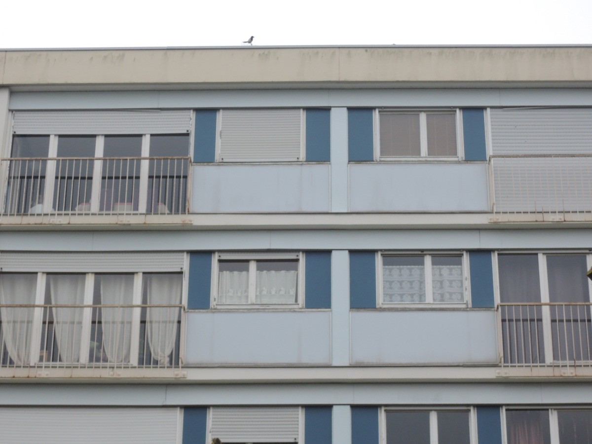 second oeuvre facade avant travaux